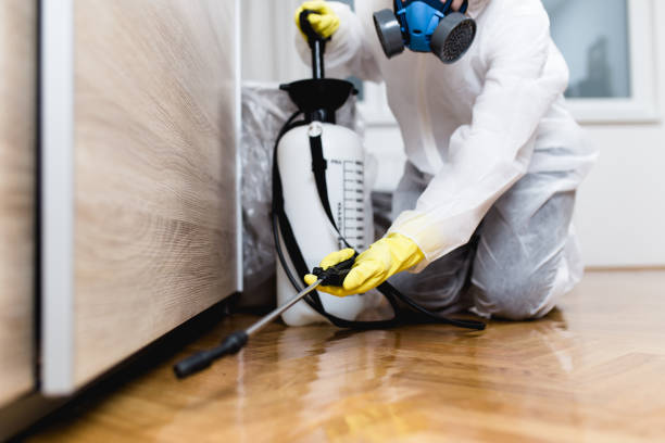 Best Insect Control  in Oasis, CA