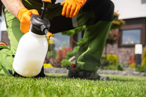 Wasp Removal Services in Oasis, CA