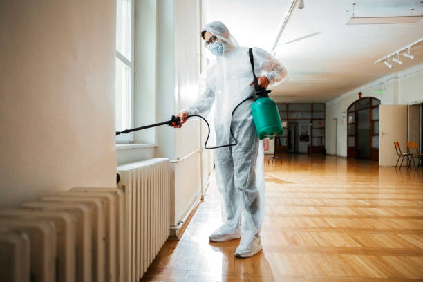 Best Local Pest Control Services  in Oasis, CA